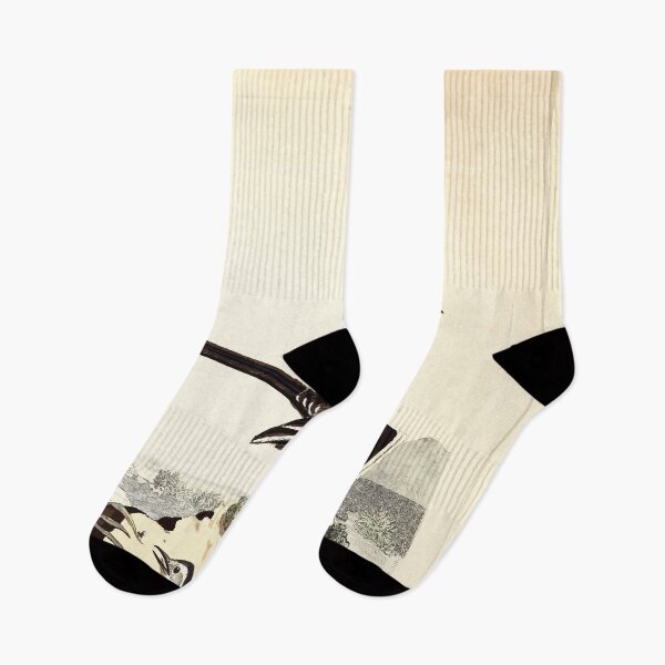 Item preview, British ornithology  being the history with a coloured representation of every known species of British birds George Graves 1821 022 designed and sold by WetdryvacRB01.