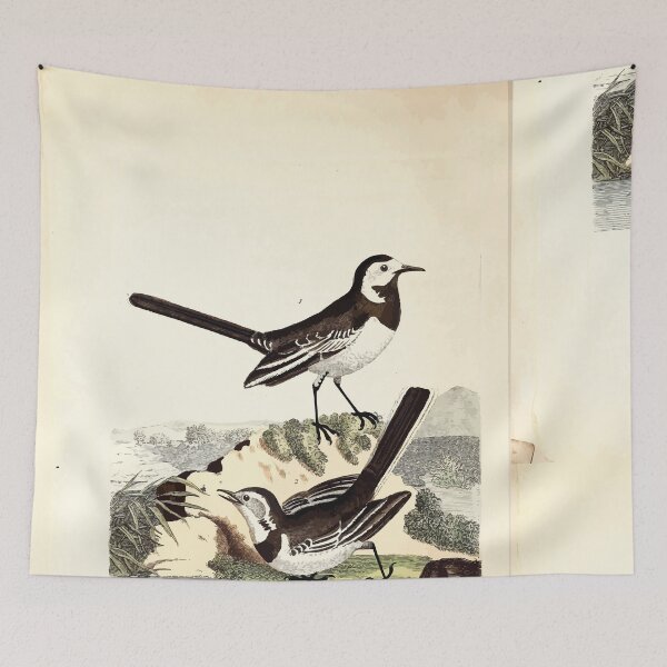 Item preview, British ornithology  being the history with a coloured representation of every known species of British birds George Graves 1821 022 designed and sold by WetdryvacRB01.