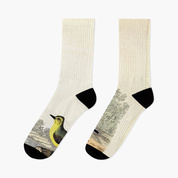Item preview, La ornitología británica es la historia con una representación en color de todas las especies conocidas de aves británicas George Graves 1821 023 designed and sold by WetdryvacRB01.