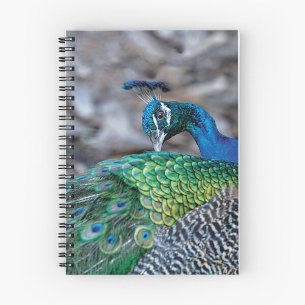 Item preview, Peacock look designed and sold by flamendes.