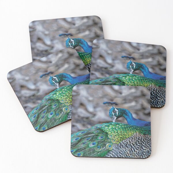 Item preview, Peacock look designed and sold by flamendes.