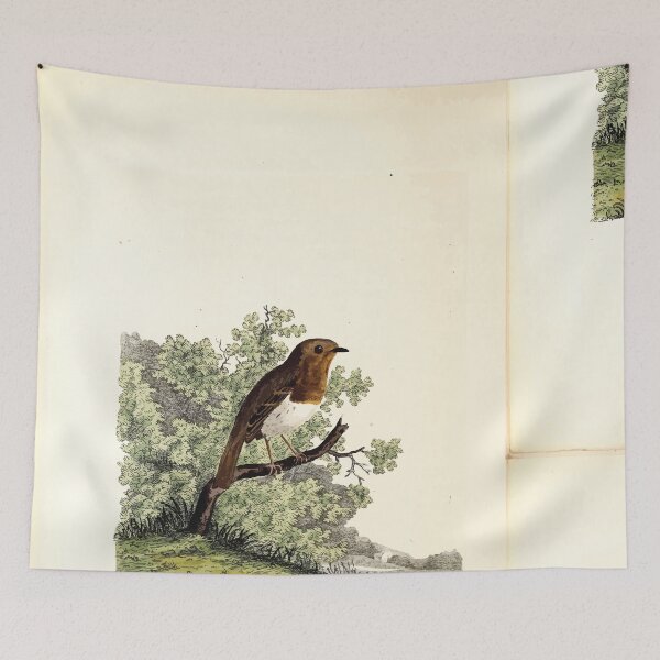 Item preview, British ornithology  being the history with a coloured representation of every known species of British birds George Graves 1821 024 designed and sold by WetdryvacRB01.