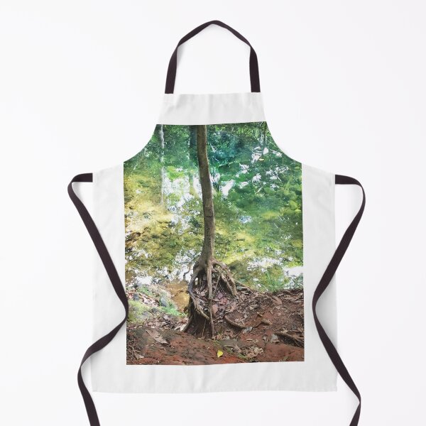 Item preview, Mango Root and reflections, Daintree designed and sold by Roz McQuillan Fine Art & Photography.