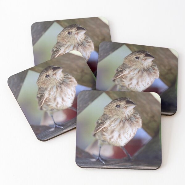 Item preview, Finch Friend designed and sold by StampCity.