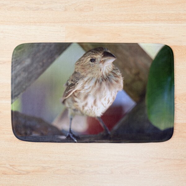 Item preview, Finch Friend designed and sold by StampCity.