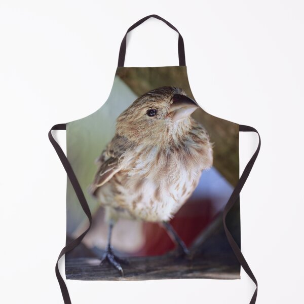 Item preview, Finch Friend designed and sold by StampCity.