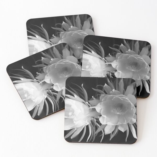 Item preview, Cactus in blossom in black and white designed and sold by Zina Stromberg.