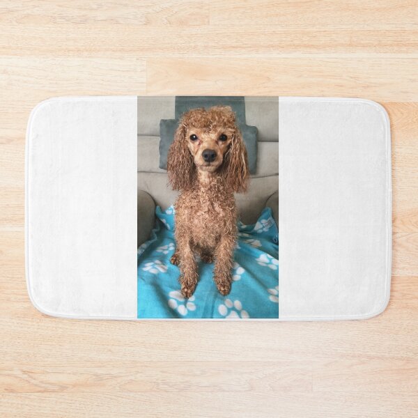 Item preview, Raffie's first bath! designed and sold by Roz McQuillan Fine Art & Photography.