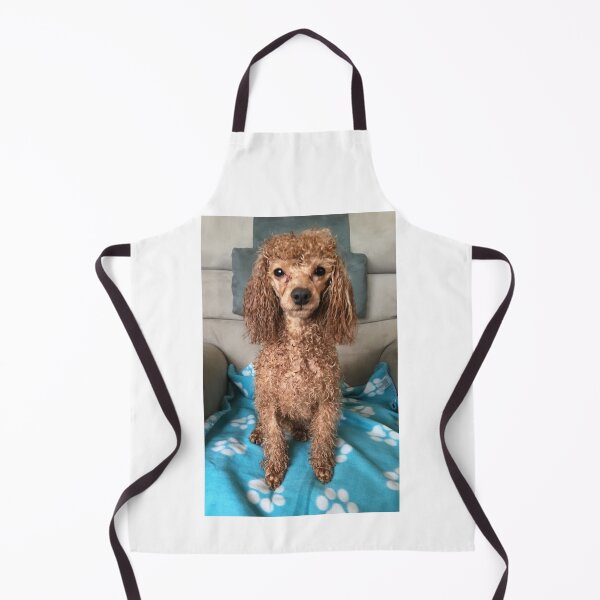 Item preview, Raffie's first bath! designed and sold by Roz McQuillan Fine Art & Photography.
