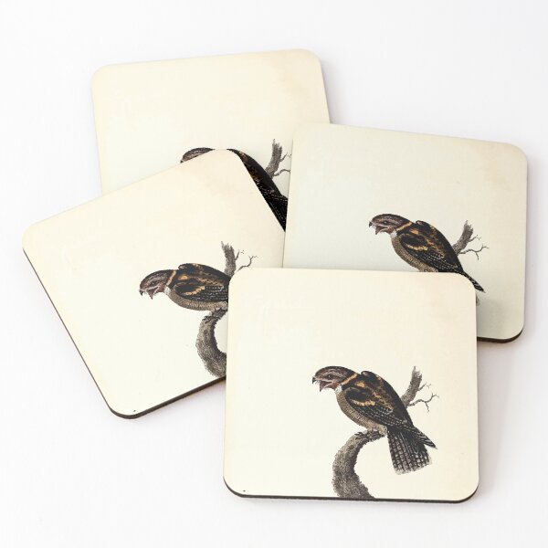 Item preview, British ornithology  being the history with a coloured representation of every known species of British birds George Graves 1821 026 designed and sold by WetdryvacRB01.