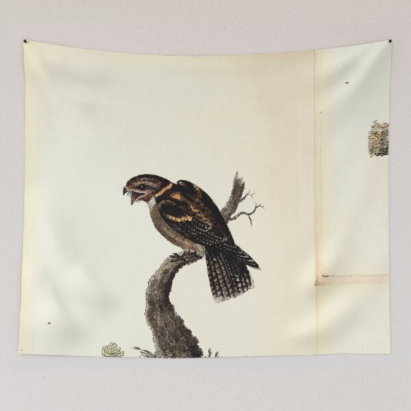 Item preview, British ornithology  being the history with a coloured representation of every known species of British birds George Graves 1821 026 designed and sold by WetdryvacRB01.