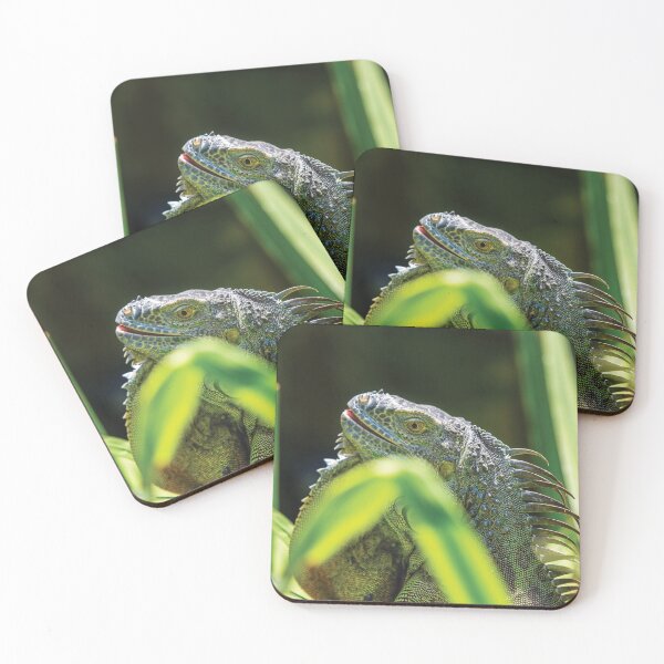 Item preview, Iguana designed and sold by flamendes.