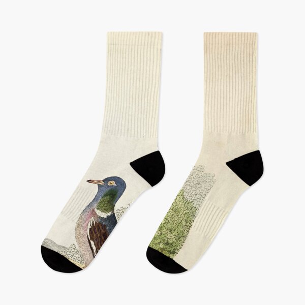 Item preview, British ornithology  being the history with a coloured representation of every known species of British birds George Graves 1821 027 designed and sold by WetdryvacRB01.
