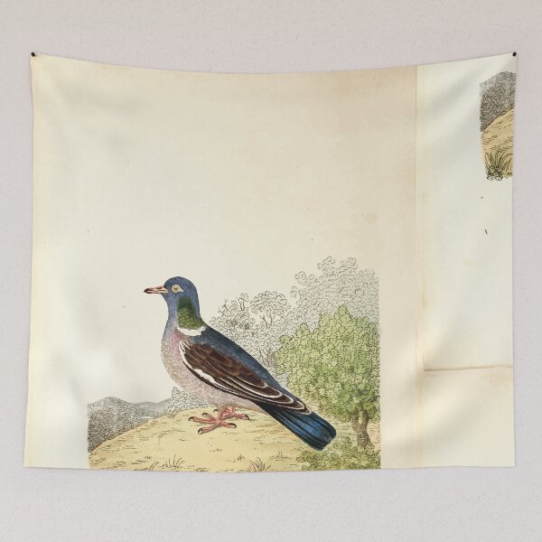 Item preview, British ornithology  being the history with a coloured representation of every known species of British birds George Graves 1821 027 designed and sold by WetdryvacRB01.