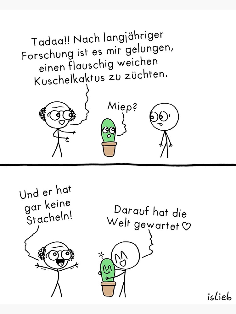 Kuschelkaktus von islieb