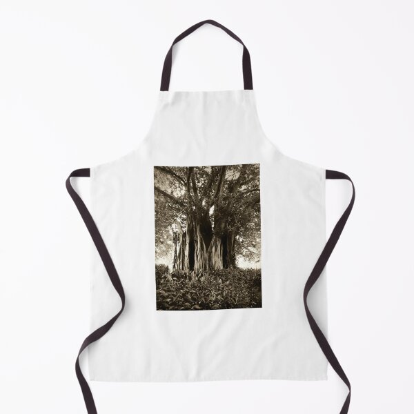 Item preview, Fig Tree, Botanical Gardens, Melbourne designed and sold by Roz McQuillan Fine Art & Photography.