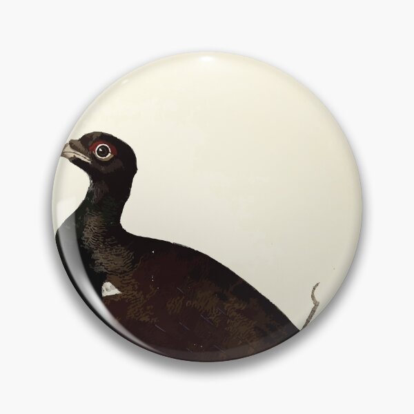 Item preview, British ornithology  being the history with a coloured representation of every known species of British birds George Graves 1821 028 designed and sold by WetdryvacRB01.
