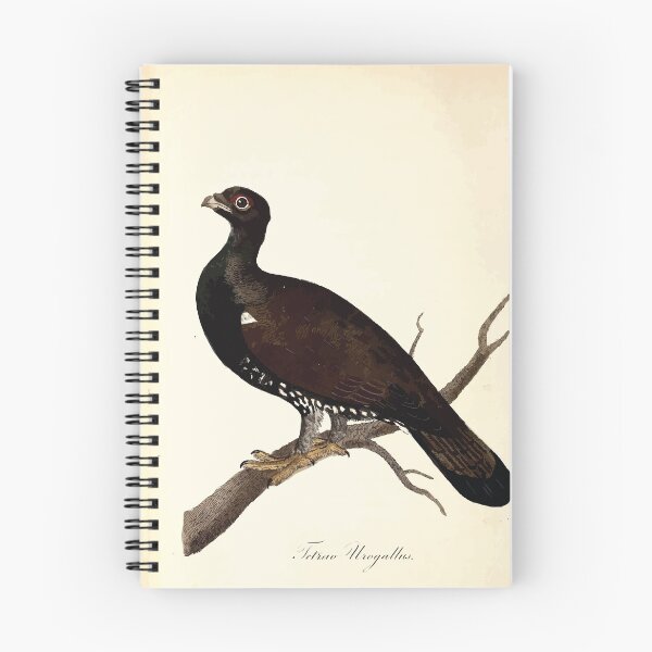 Item preview, British ornithology  being the history with a coloured representation of every known species of British birds George Graves 1821 028 designed and sold by WetdryvacRB01.