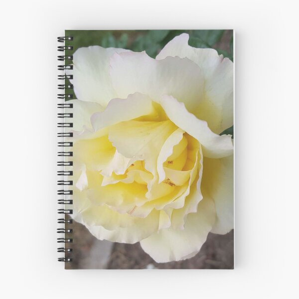 Item preview, Yellow Flower (Photography: Unfiltered) designed and sold by Lori Ackley.