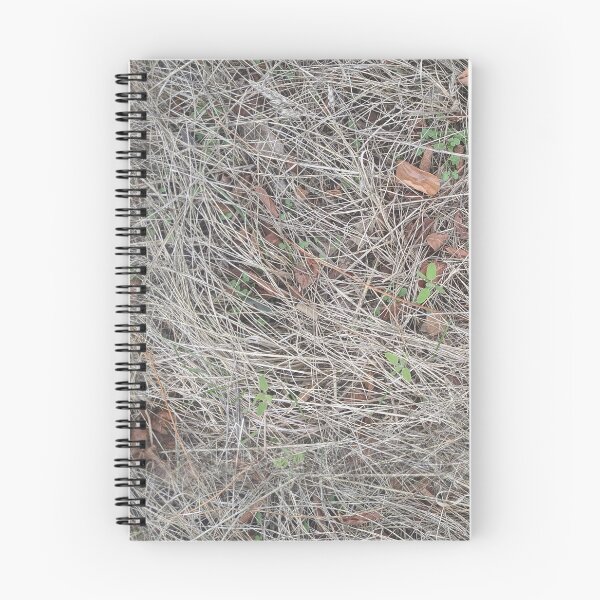 Item preview, Dry Herbs designed and sold by naturalpatterns.