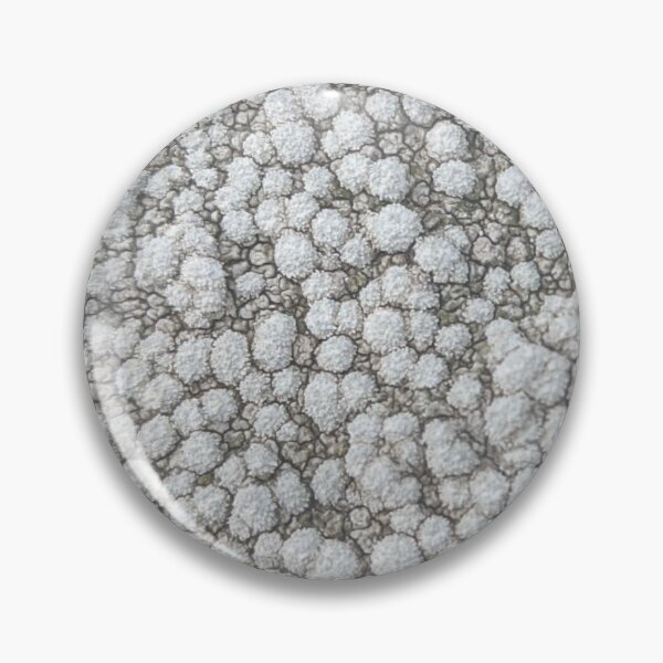 Artikelvorschau, Flechten entworfen und verkauft von naturalpatterns.