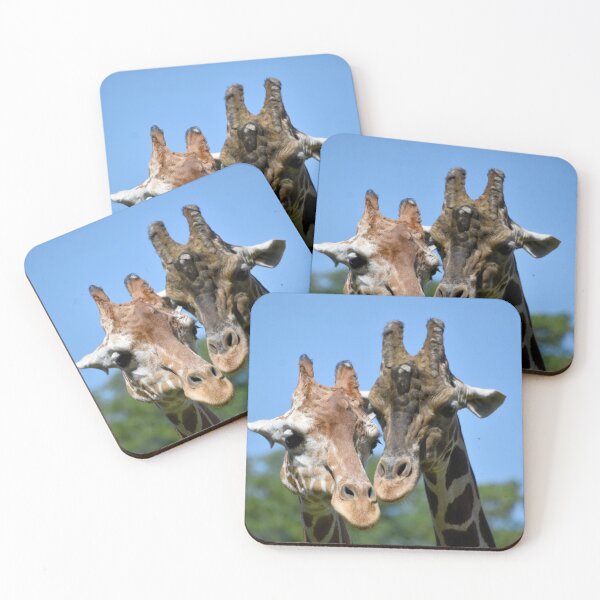 Item preview, Giraffes at the Maryland Zoo designed and sold by Zoo and Nature Photography by Karie.