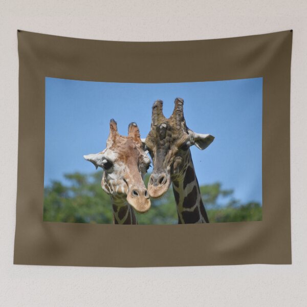 Item preview, Giraffes at the Maryland Zoo designed and sold by Zoo and Nature Photography by Karie.
