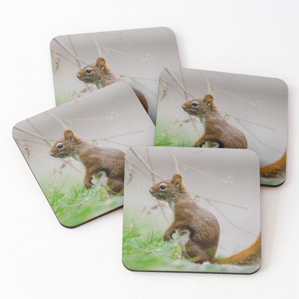 Item preview, American Red Squirrel designed and sold by rodmacpherson.