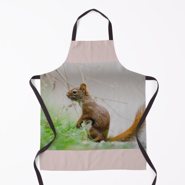 Item preview, American Red Squirrel designed and sold by rodmacpherson.