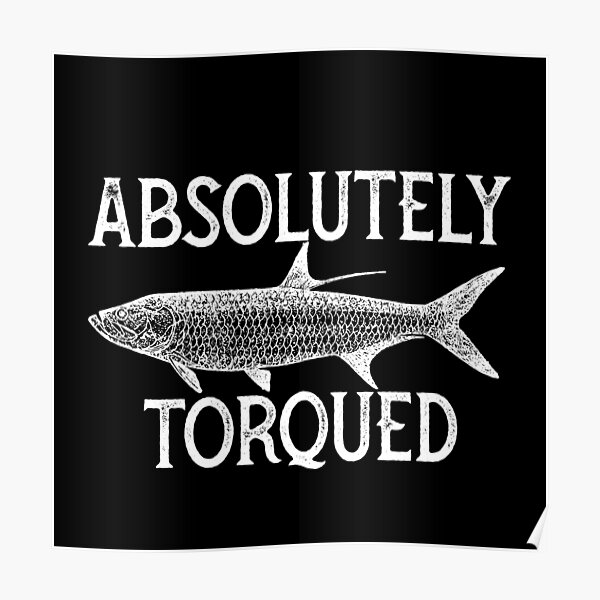 Absolutely Meaning Absolutely Meaning