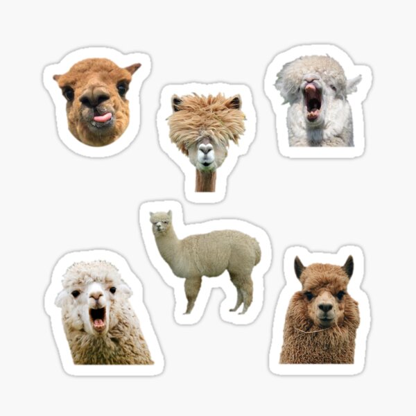 Funny Farm Animal Stickers for Sale