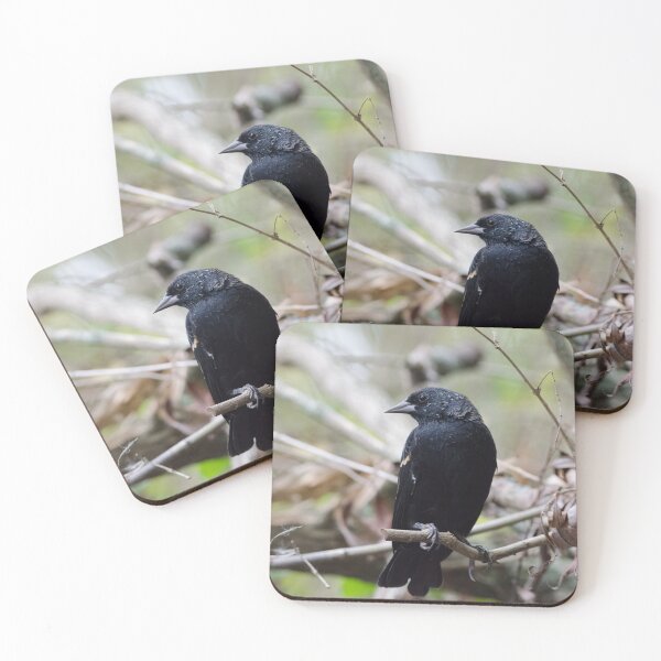 Item preview, Red-winged Blackbird designed and sold by rodmacpherson.
