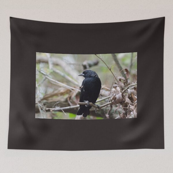 Item preview, Red-winged Blackbird designed and sold by rodmacpherson.