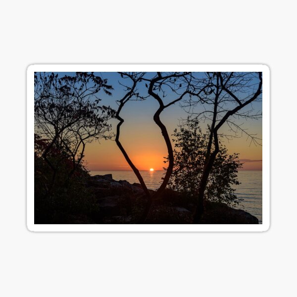 Item preview, Trees and Ocean designed and sold by wednesdays57.