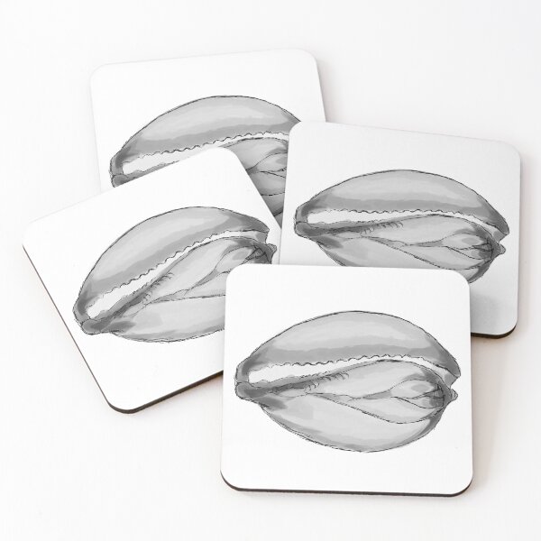 Item preview, Cowrie Shell designed and sold by ExCrown.