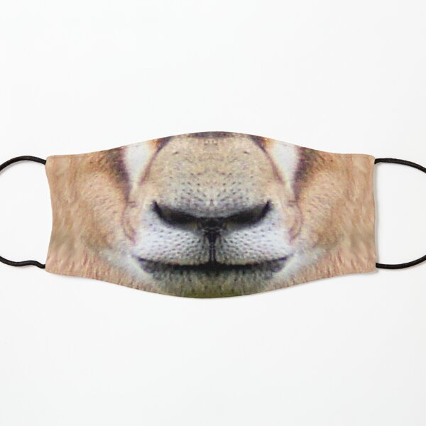 Grant's Gazelle Face Photo Facemask Kids Mask
