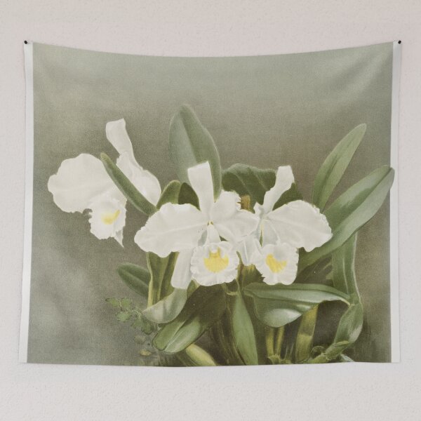 Item preview, Reichenbachia: Orchids Illustrated and Described designed and sold by EsotericBotanic.