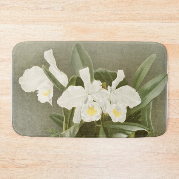 Item preview, Reichenbachia: Orchids Illustrated and Described designed and sold by EsotericBotanic.