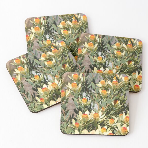 Item preview, Protea Bush designed and sold by MaxnGeorge.