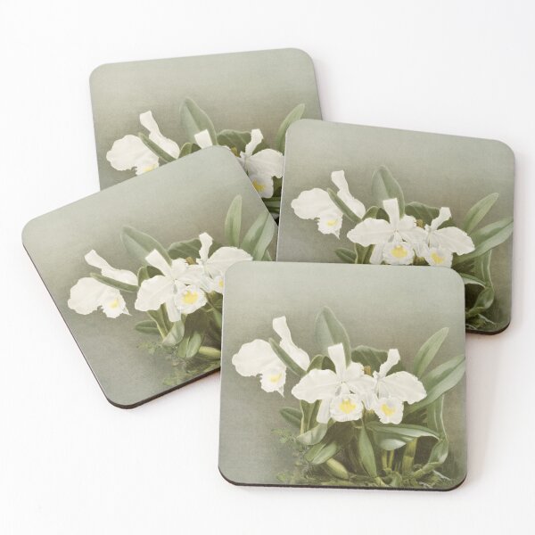 Item preview, Reichenbachia: Orchids Illustrated and Described designed and sold by EsotericBotanic.