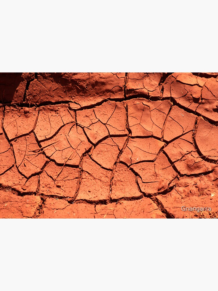 dried mud by Gnangarra