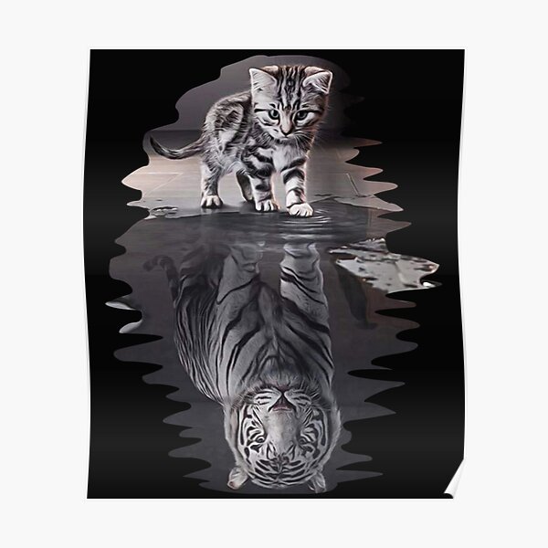 Cat X Tiger Gifts Poster By Barnissim Redbubble