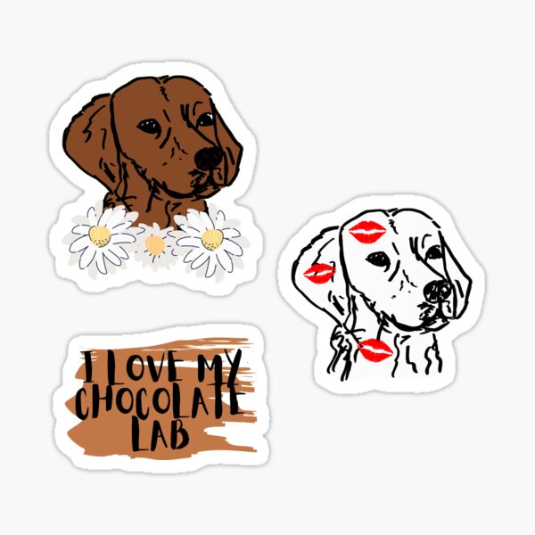Chocolate lab stickerpack Sticker