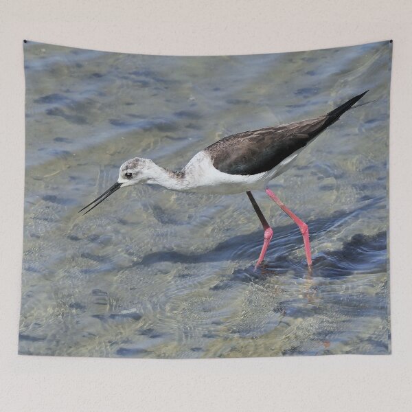 Item preview, r2441/ site ornithologique-du-teich - Echasse blanche  - 2018 par Okaio Créations - Olavia-Olao  designed and sold by o.okaïo.