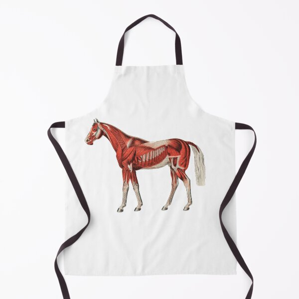 Item preview, Horse Skeleton Muscles designed and sold by Flamin' Galah.