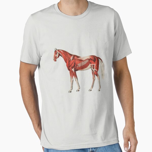 Aperçu de l'œuvre Muscles du squelette de cheval créée et vendue par Flamin' Galah.