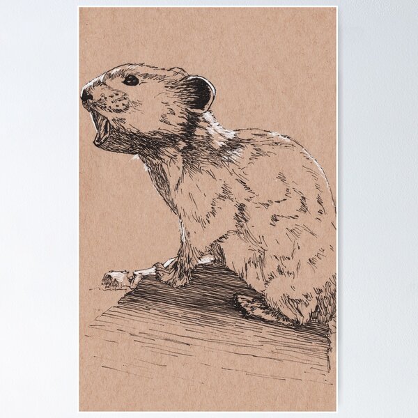 American Pika Poster