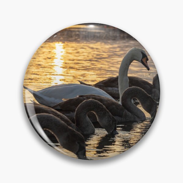 Item preview, Swan and her cygnets designed and sold by Mark Liebenberg.