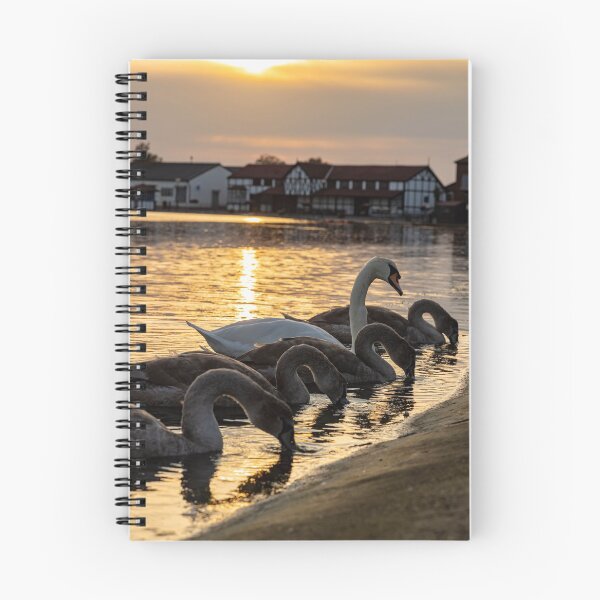 Item preview, Swan and her cygnets designed and sold by Mark Liebenberg.