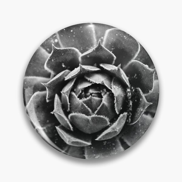 Item preview, Sempervivum tectorum designed and sold by Dominika Aniola.